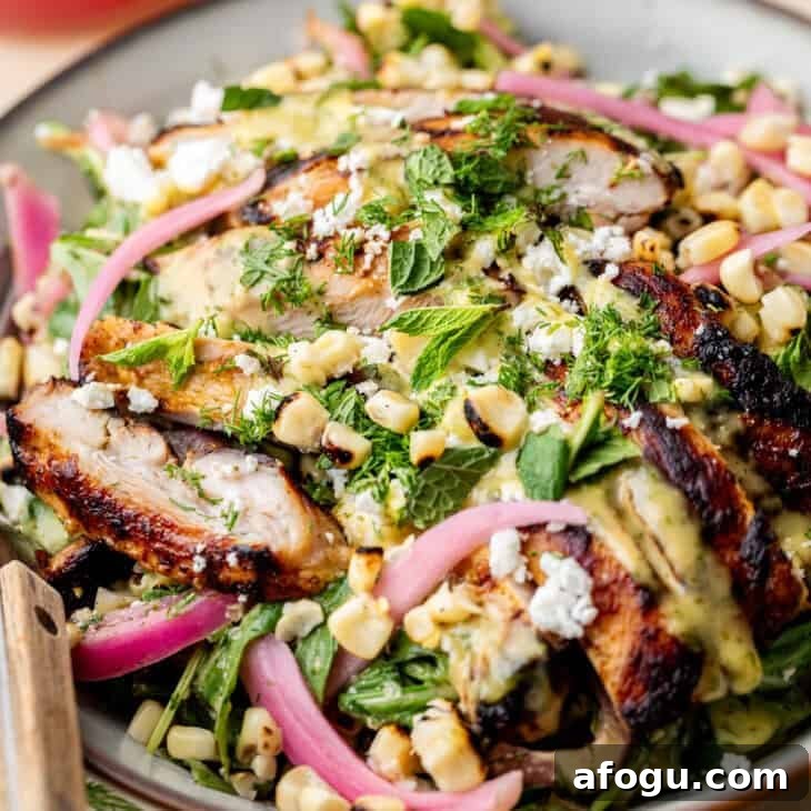 Grilled chicken salad with corn, pickled red onions, herbs, and cheese on a plate.