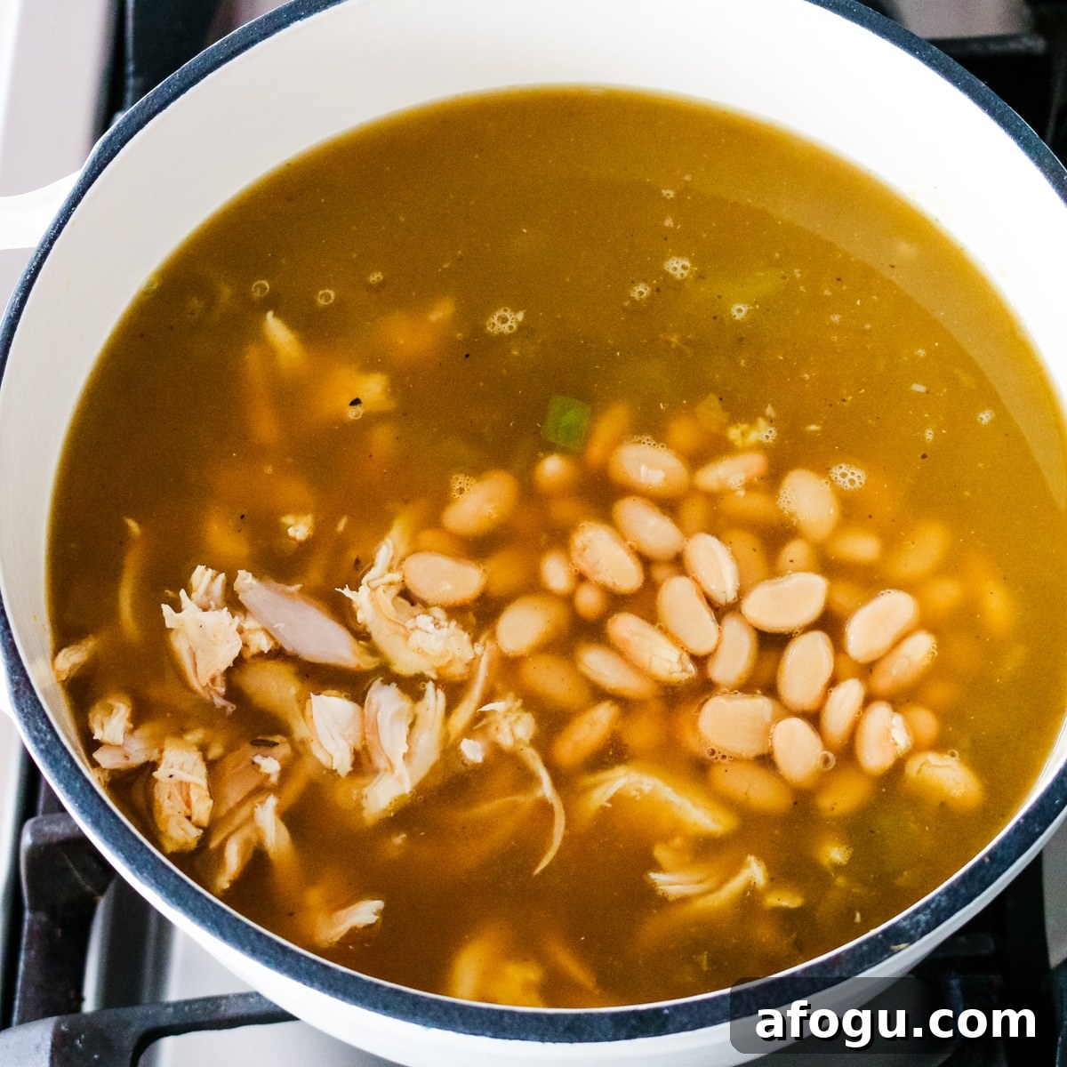 cooked chicken and broth added with salsa, chiles, garlic, and cumin.