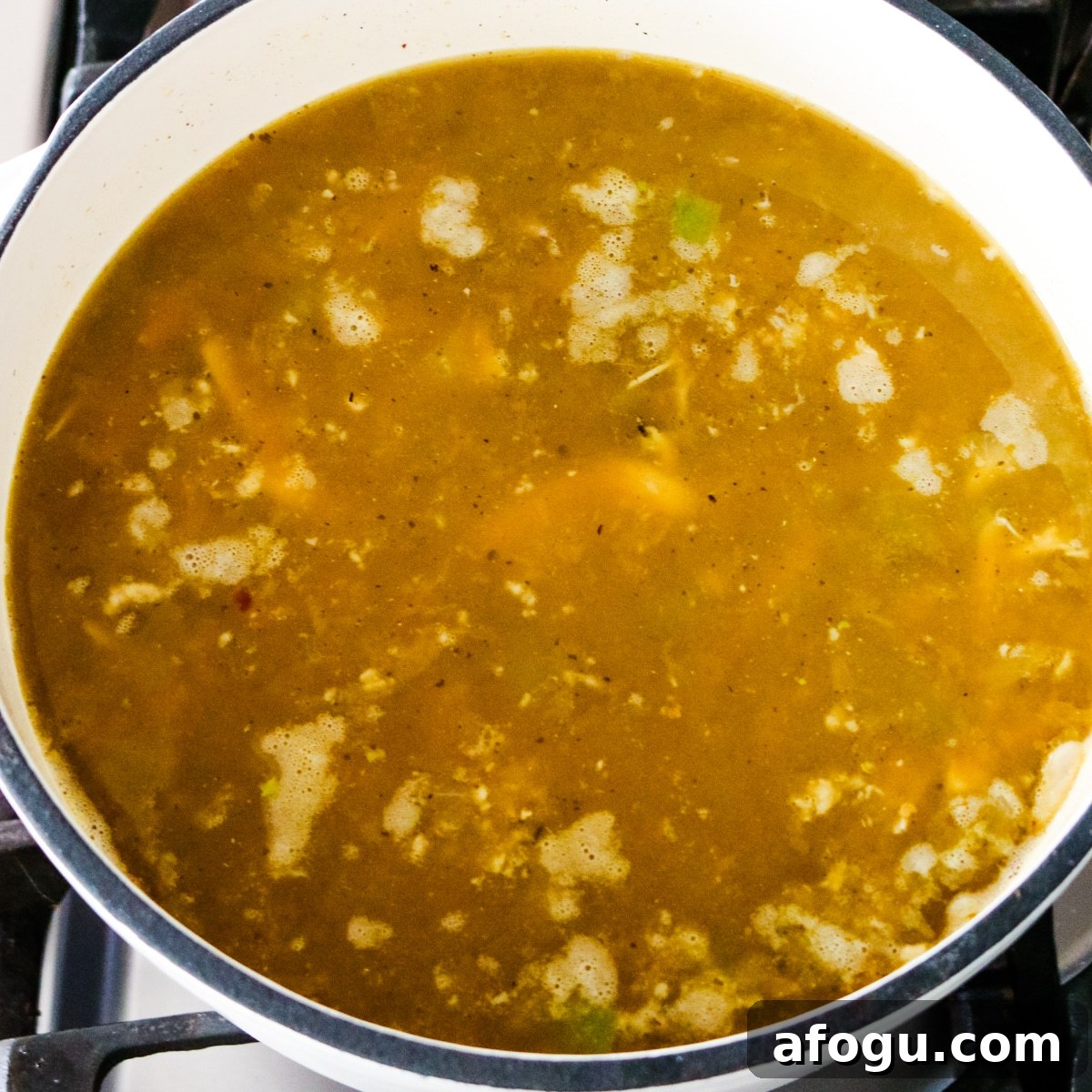 cooked chicken and broth added with salsa, chiles, garlic, and cumin and stirred together.