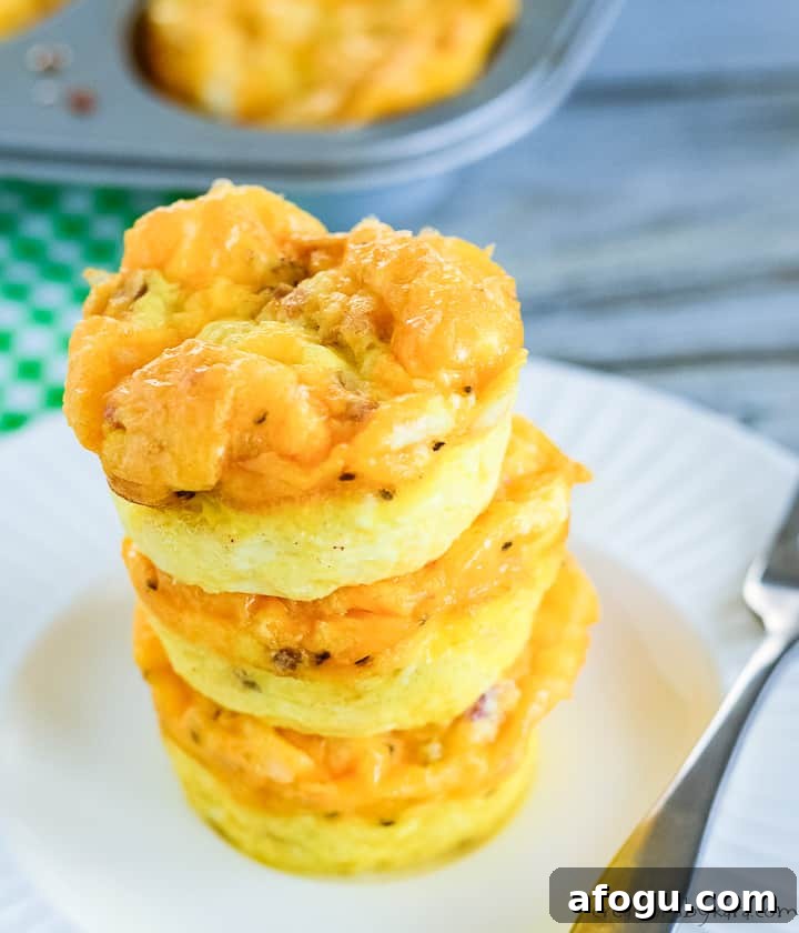 Ham & Cheese Muffin Tin Eggs are the perfect breakfast food! overhead shot of ham and cheese muffin tin eggs