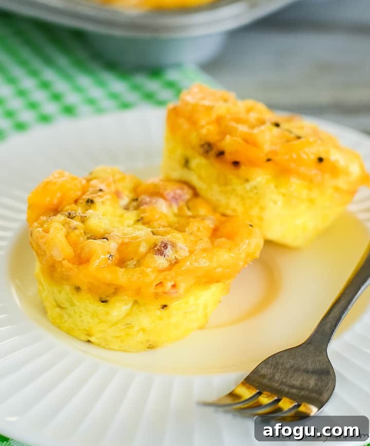 Ham and Cheese Egg Muffin Cups Recipe for Quick Breakfast 4 plate with two baked egg cups with cheese and ham