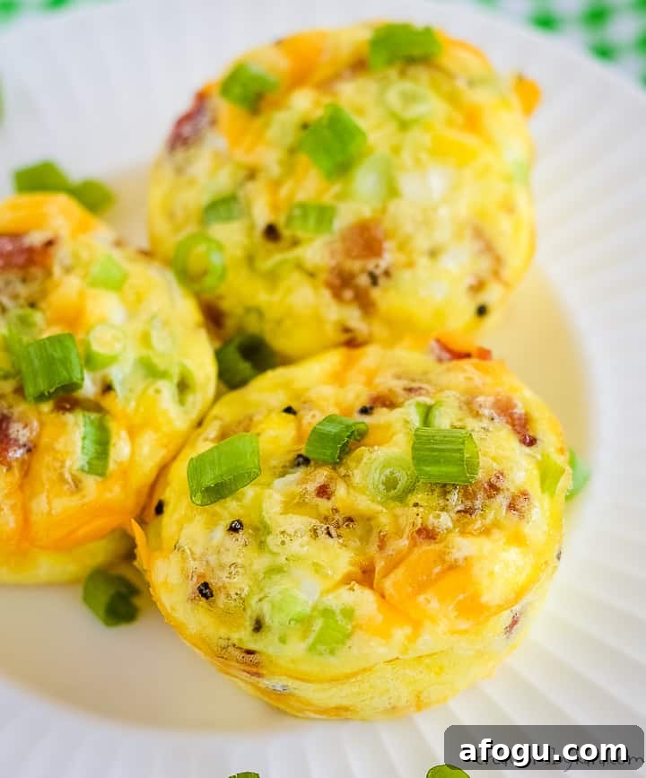 Ham and Cheese Egg Muffin Cups Recipe for Quick Breakfast 6 bacon egg muffin cups