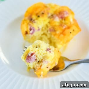 Ham and Cheese Egg Muffin Cups Recipe for Quick Breakfast 7 bite of muffin tin eggs on a fork