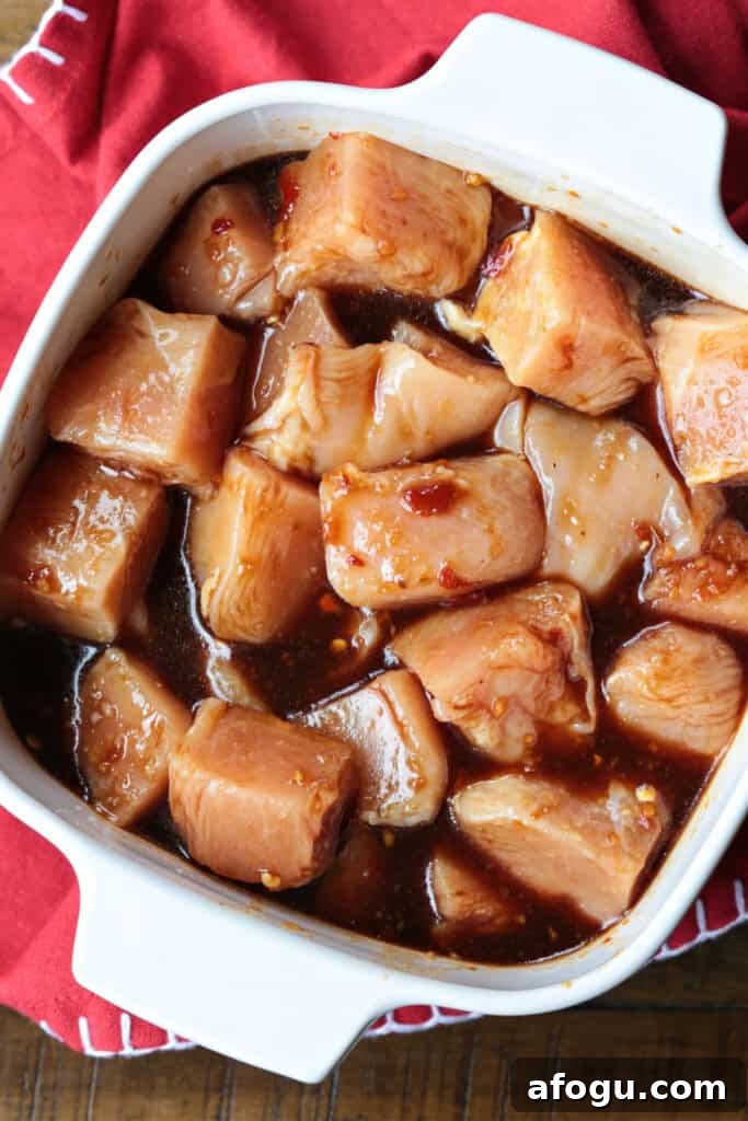 marinated diced chicken in white dish