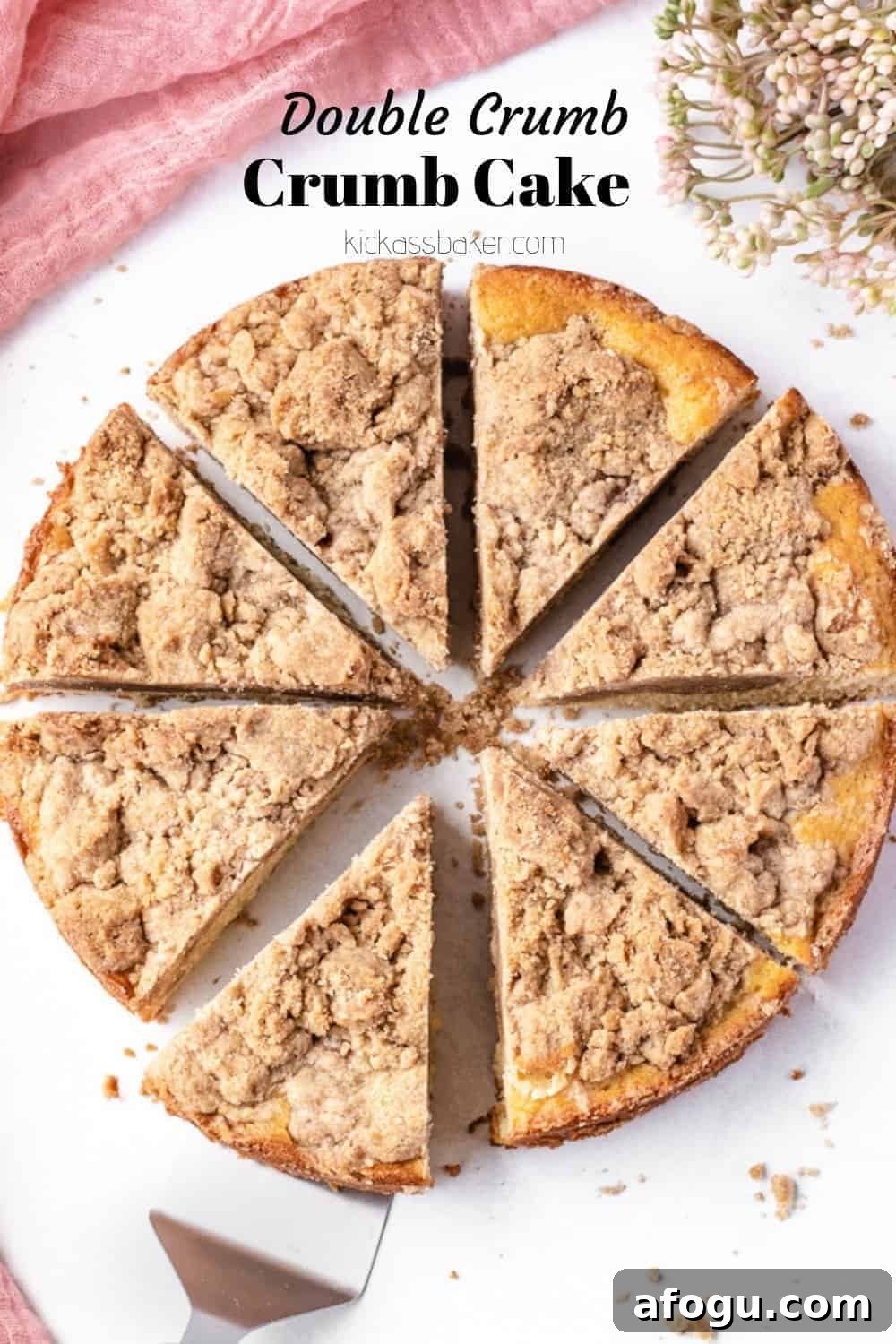 Double Crumb Crumb Cake
