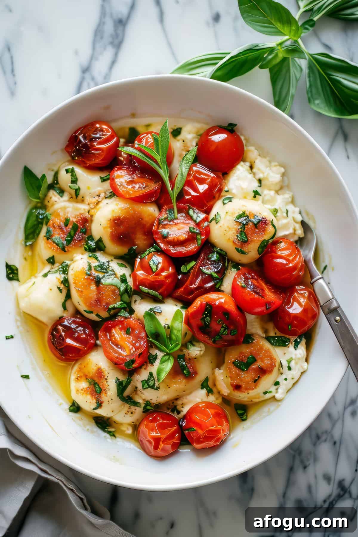 Fluffy ricotta gnocchi dumplings with roasted tomatoes and mozzarella cheese in a bowl.