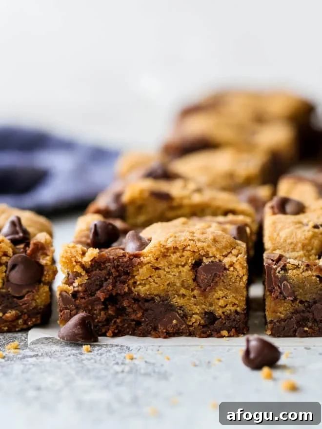 closeup of chocolate chip cookie brownies