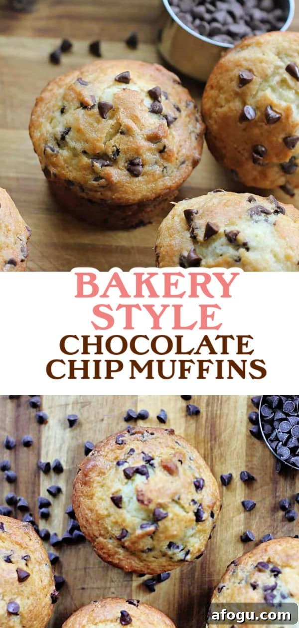 Bakery-Style Chocolate Chip Yogurt Muffins Recipe 9 img 6483 10