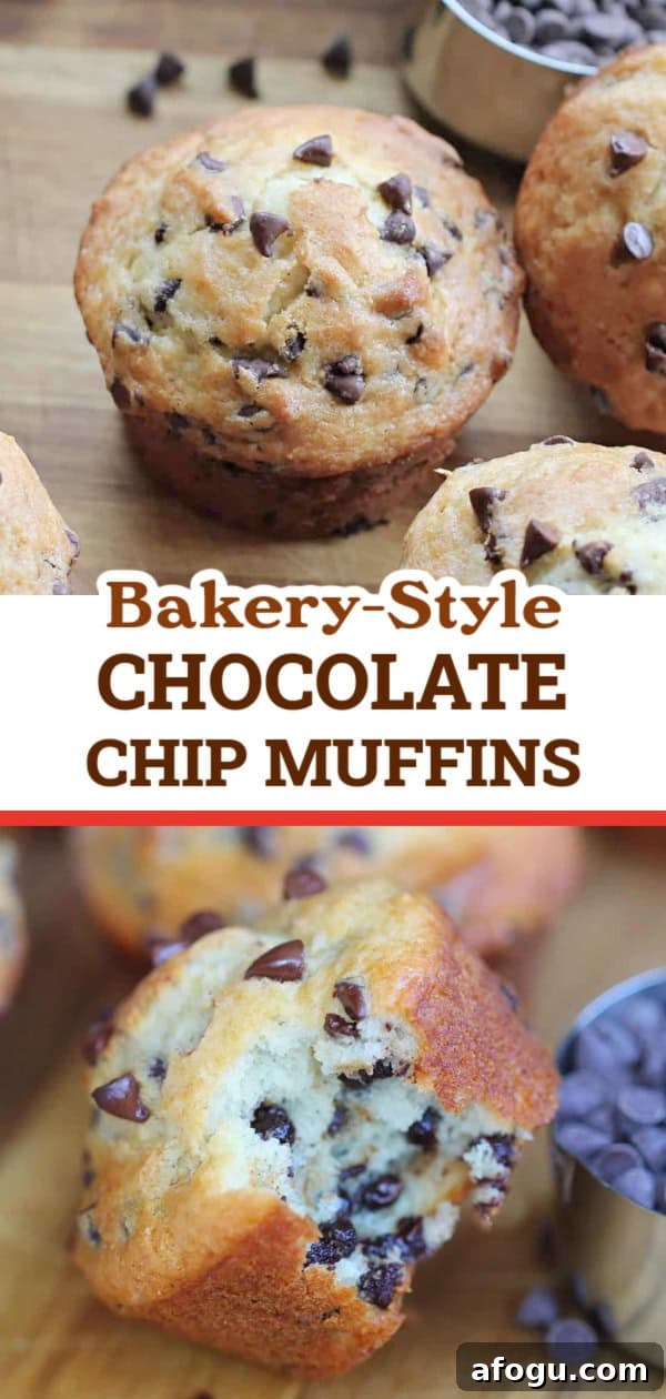Bakery-Style Chocolate Chip Yogurt Muffins Recipe 10 img 6483 11