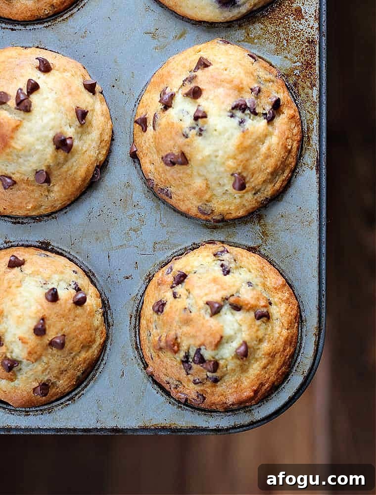 Bakery-Style Chocolate Chip Yogurt Muffins Recipe 3 greek yogurt chocolate chip muffins