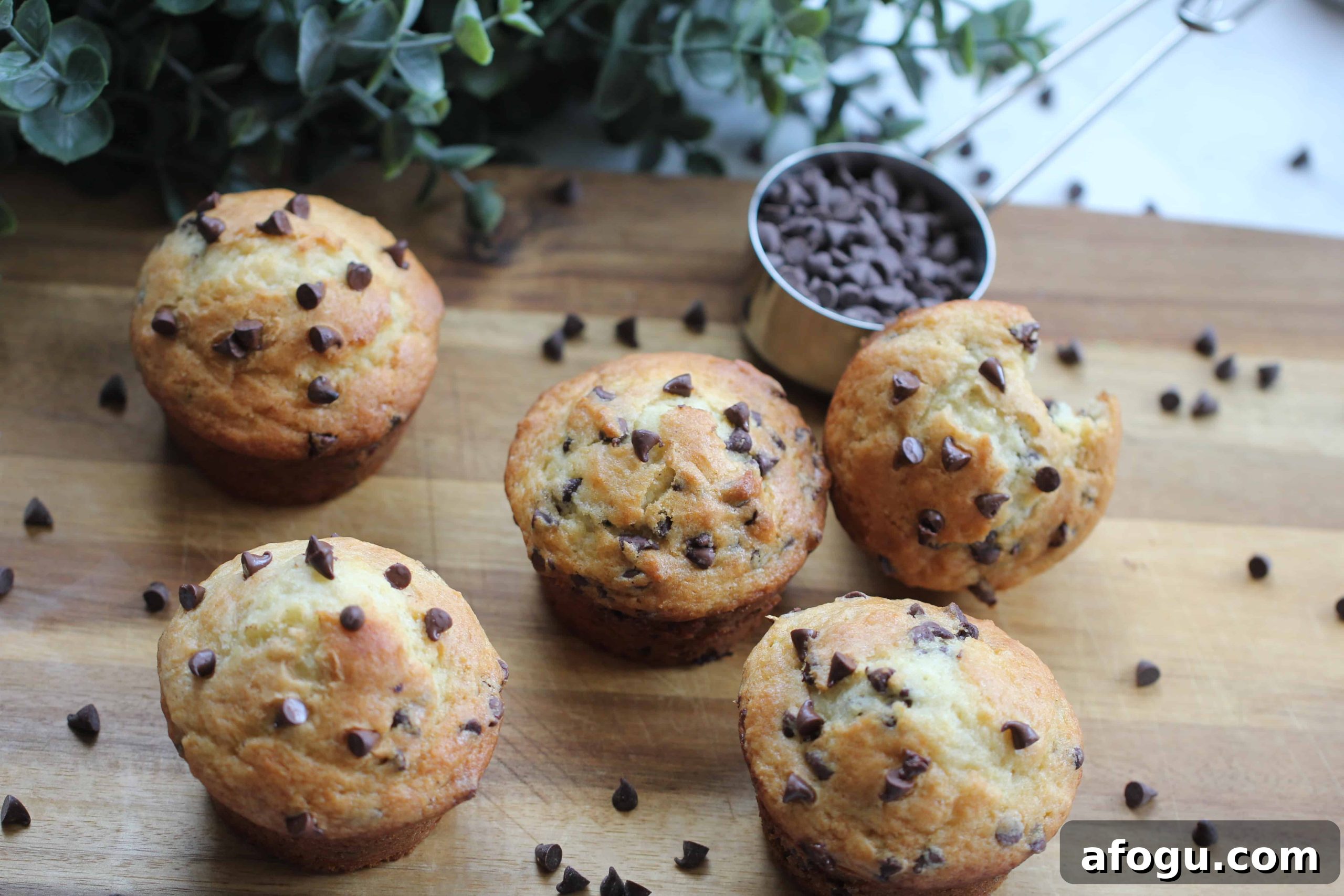 Bakery-Style Chocolate Chip Yogurt Muffins Recipe 5 greek yogurt chocolate chip muffins