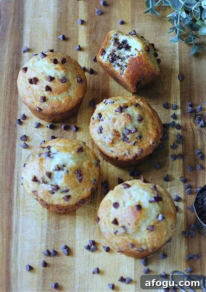 Bakery-Style Chocolate Chip Yogurt Muffins Recipe 7 HOME BAKED BAKERY TREATS