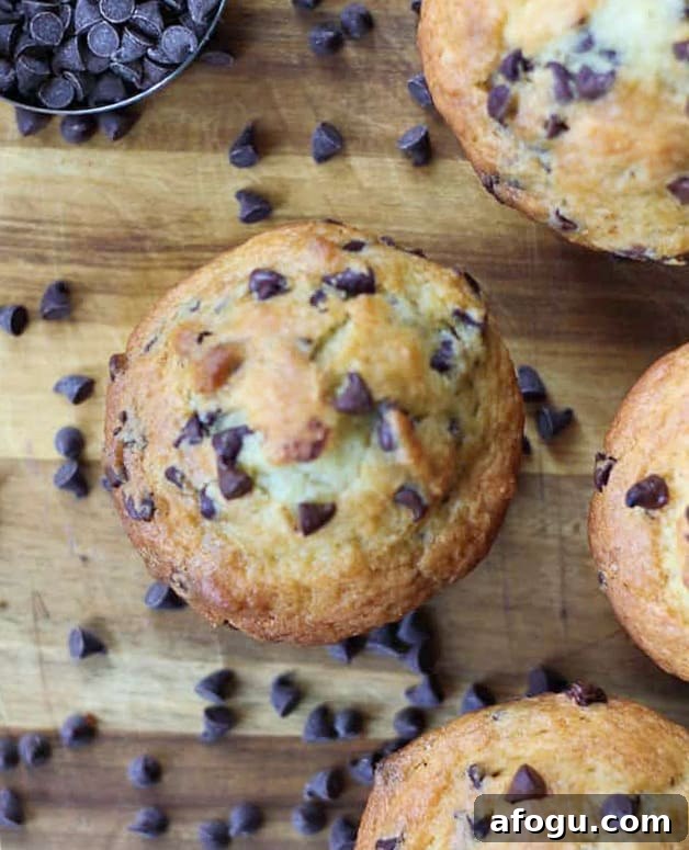 Bakery-Style Chocolate Chip Yogurt Muffins Recipe 8 Moist, fluffy Chocolate Chip Yogurt Muffins with tall bakery-style tops. Easy, cozy, and perfect for breakfast or snacks. Greek yogurt keeps them extra tender