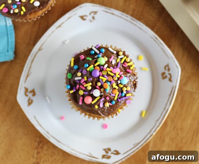 Healthy cupcake with chocolate frosting and sprinkles.