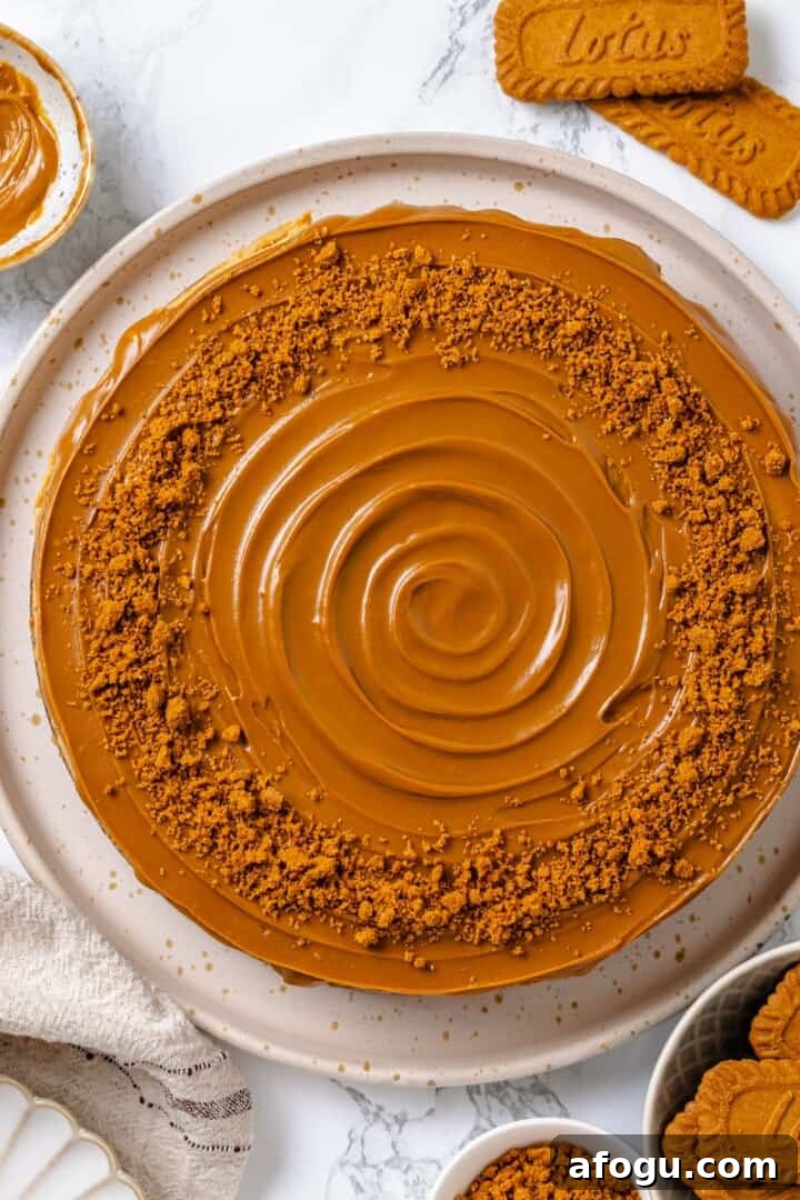 Vegan Biscoff cheesecake decorated with cookie crumbs.
