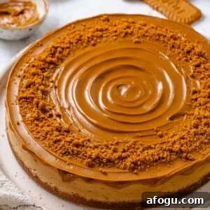 Biscoff cheesecake on cake plate.
