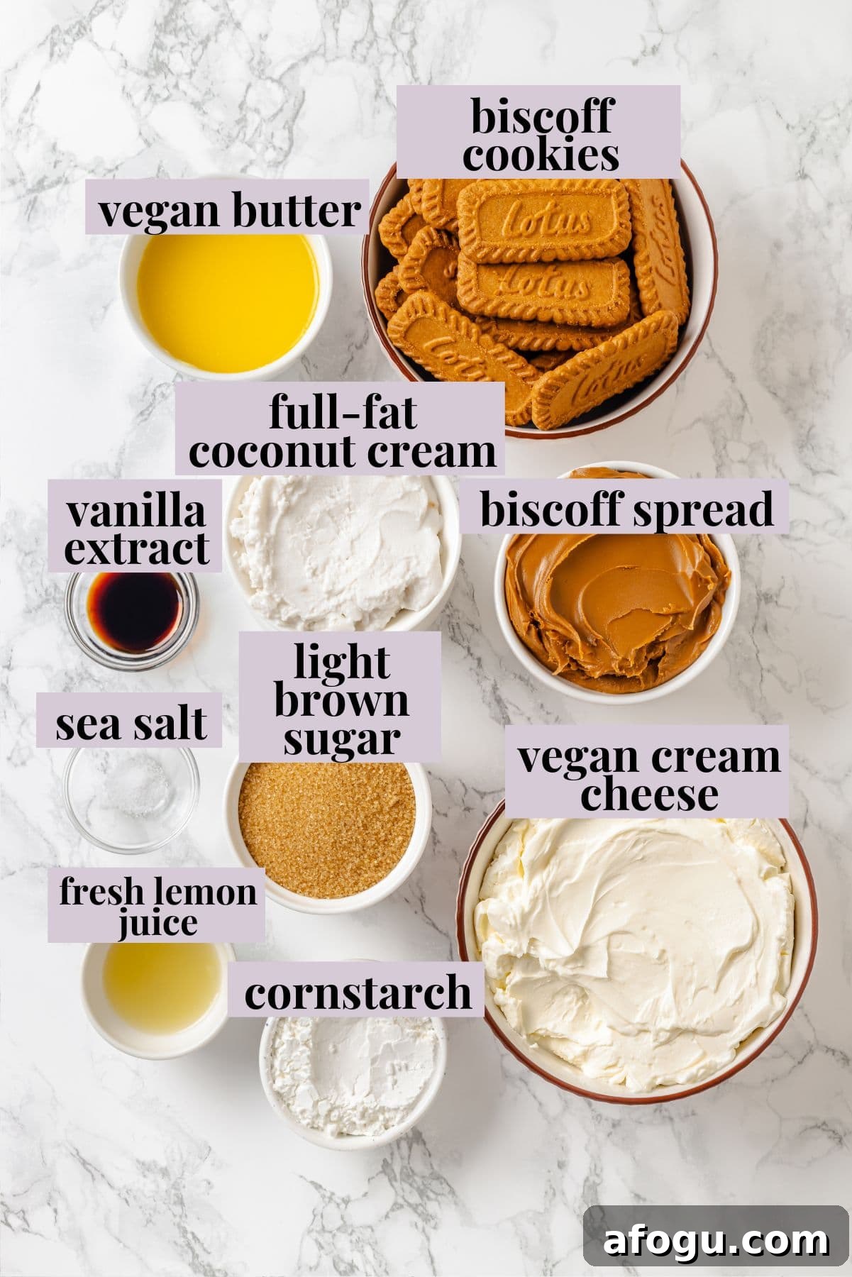 Overhead view of ingredients for Biscoff cheesecake.