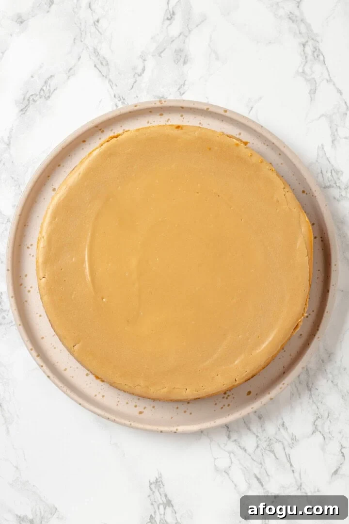 Biscoff cheesecake on cake plate before adding decorations.
