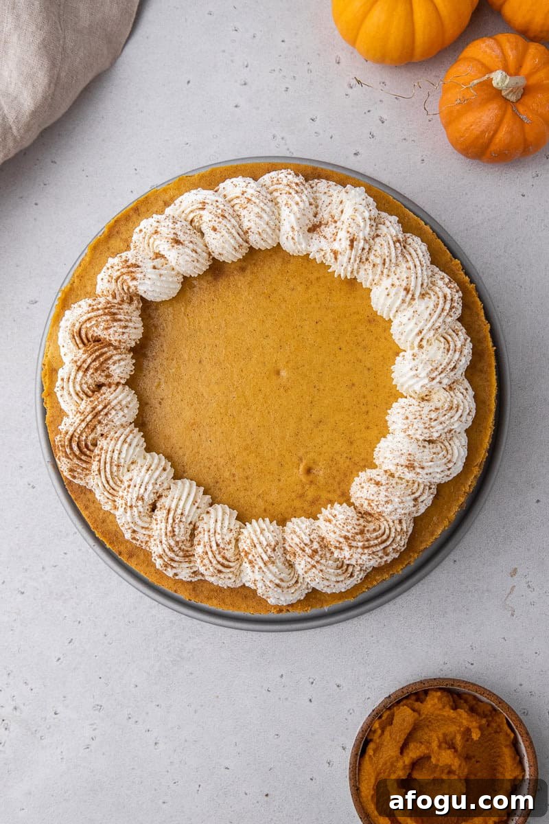 Creamy pumpkin cheesecake 