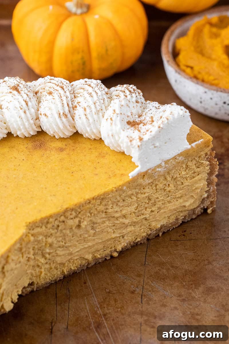 Creamy pumpkin cheesecake 
