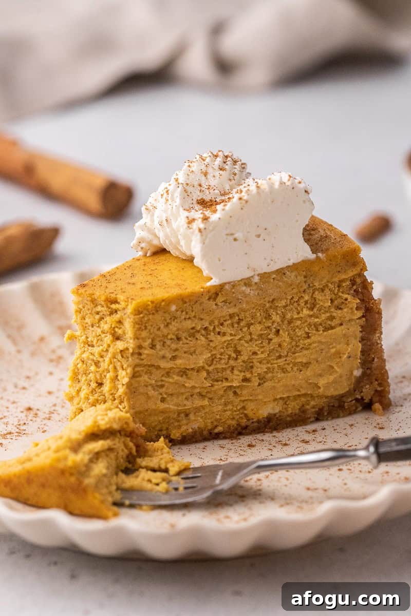 Slice of cheesecake on a place