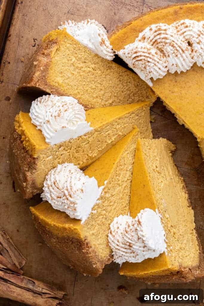 Over head shot of slices of pumpkin cheesecake