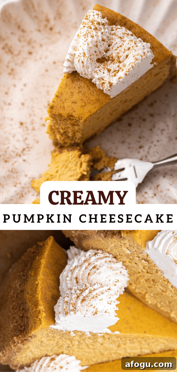 Creamy pumpkin cheesecake 