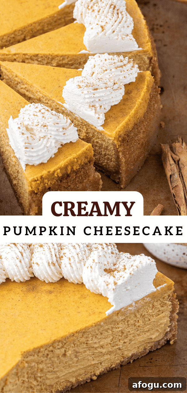 Creamy pumpkin cheesecake 