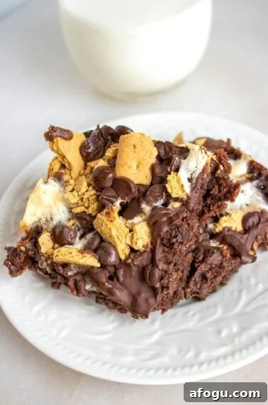 S'MORES BROWNIES