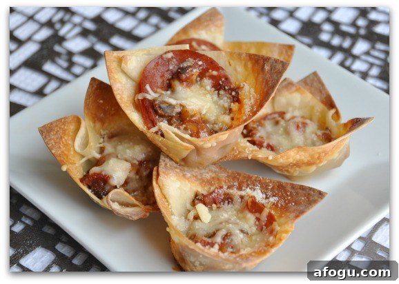 Homemade Pizza Rolls + Deep Dish Won-ton Pizza Cups