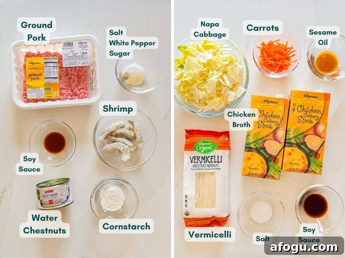Asian Cabbage and Pork Meatball Soup Recipe 4 An overhead image of labeled recipe ingredients.