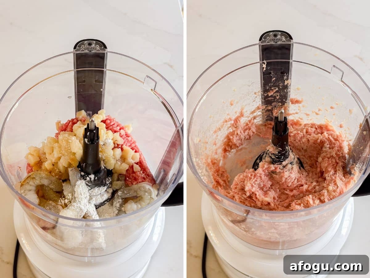 Asian Cabbage and Pork Meatball Soup Recipe 5 Meatball ingredients in the food processor and then all mixed together.