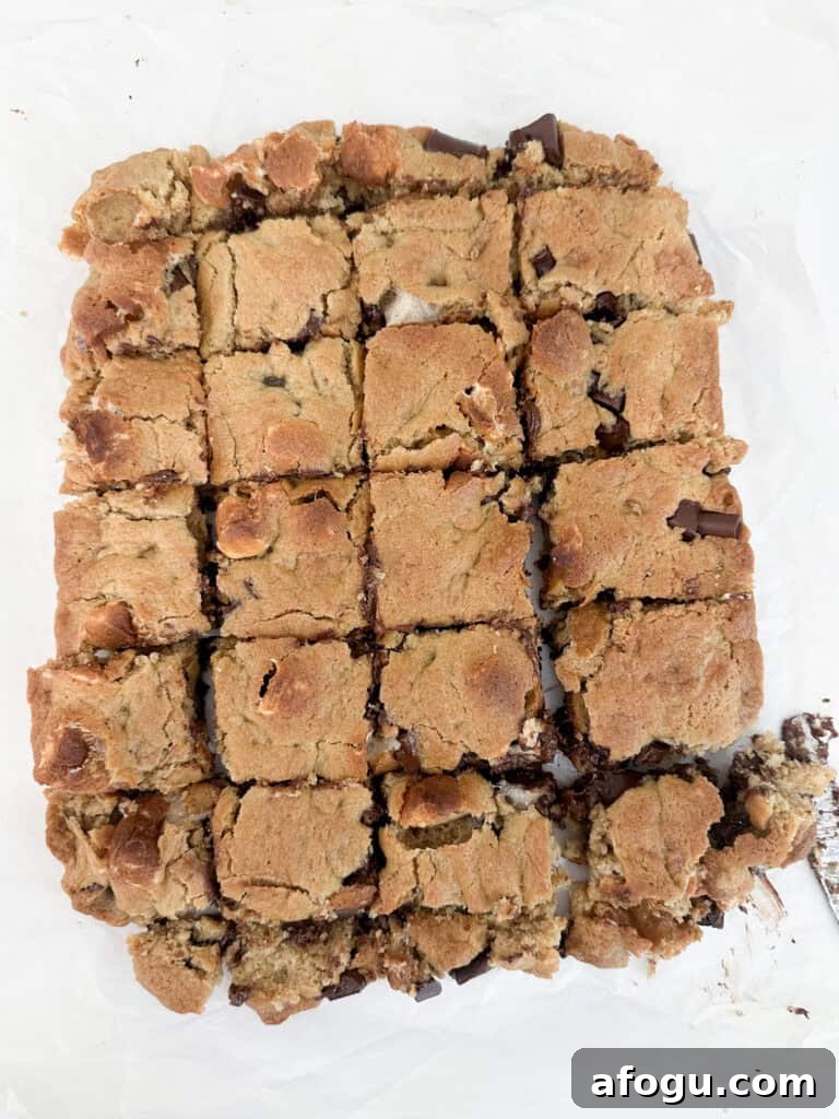 Everything but the Campfire S'mores Bars: No-Bake Dessert Recipe 2 s'mores bars