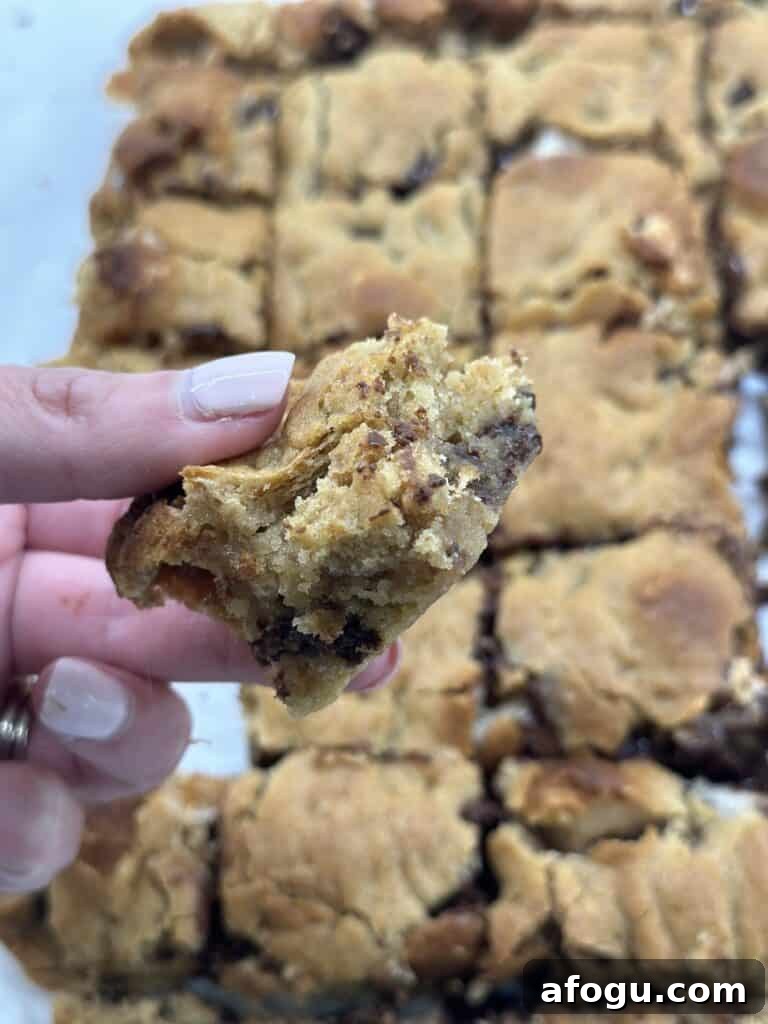 Everything but the Campfire S'mores Bars: No-Bake Dessert Recipe 3 piece of s'mores bars