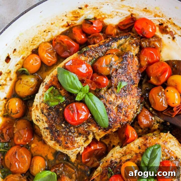 Mozzarella-stuffed chicken pomodoro in a pan in cherry tomato sauce with basil.