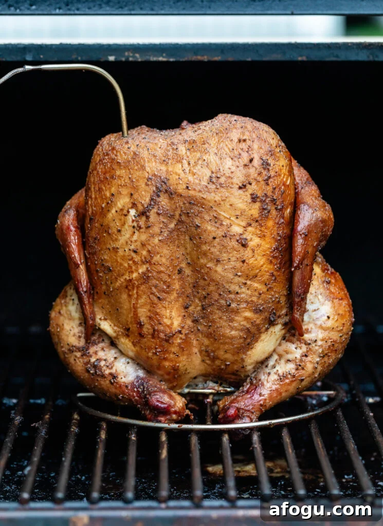 best smoked beer can chicken on smoker with thermometer in the breast