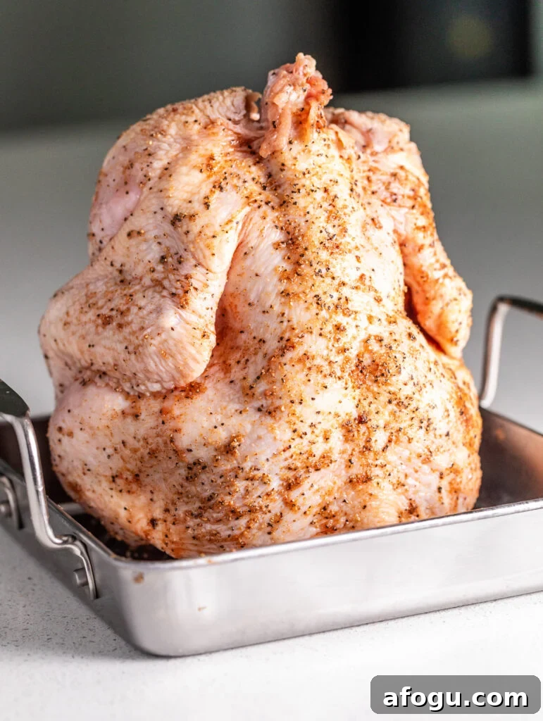 seasoned chicken sitting in a grill pan
