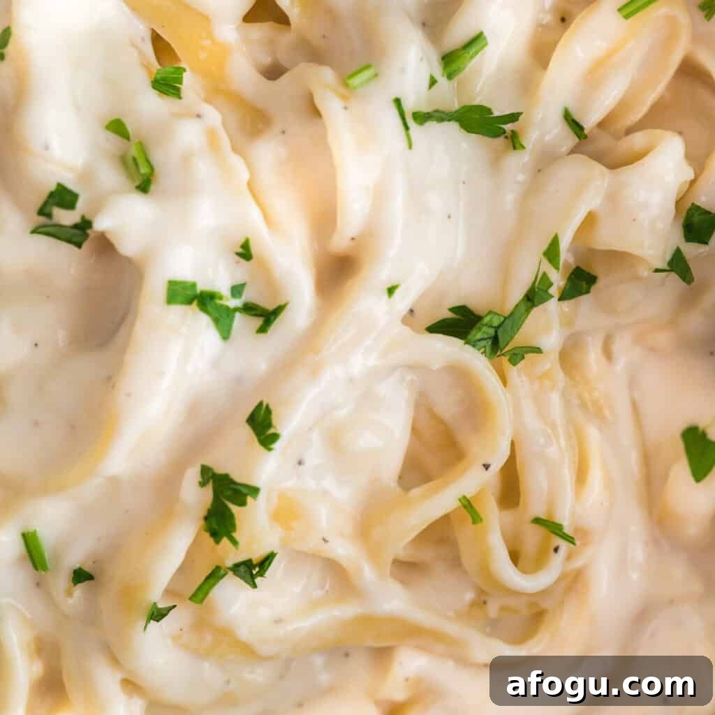 A close up of pasta in Alfredo Sauce and parsley.