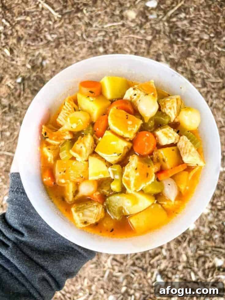 Image for Chicken Campfire Stew