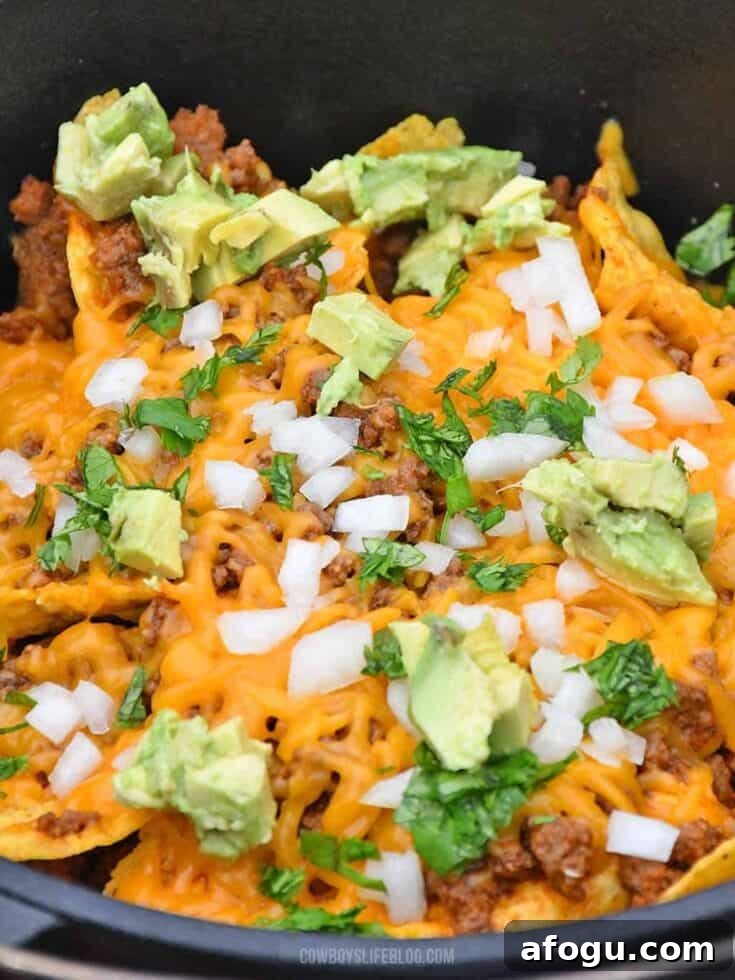 Image for Campfire Nachos