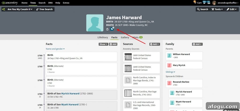 Profile example with MyTreeTags