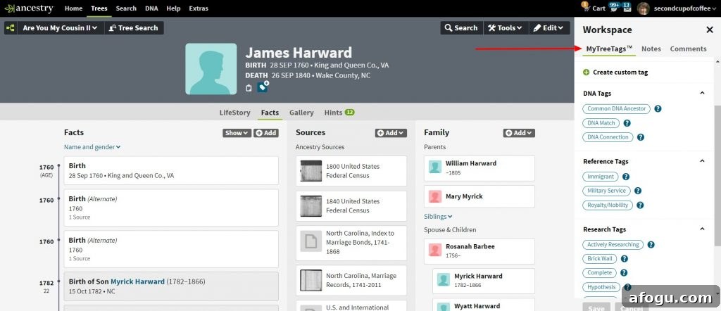 Tag button opens MyTreeTags panel