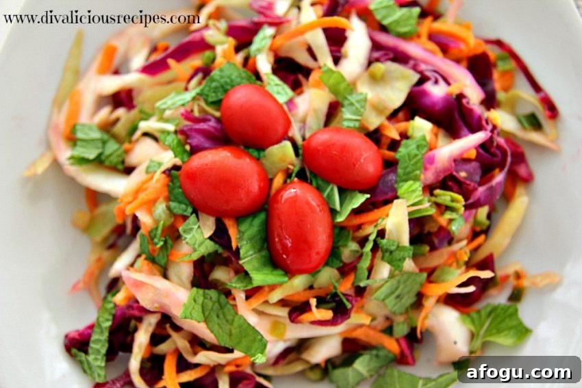 Tamarind Coleslaw Recipe: Tangy Slaw with Asian Flavors 4 IMG_0067