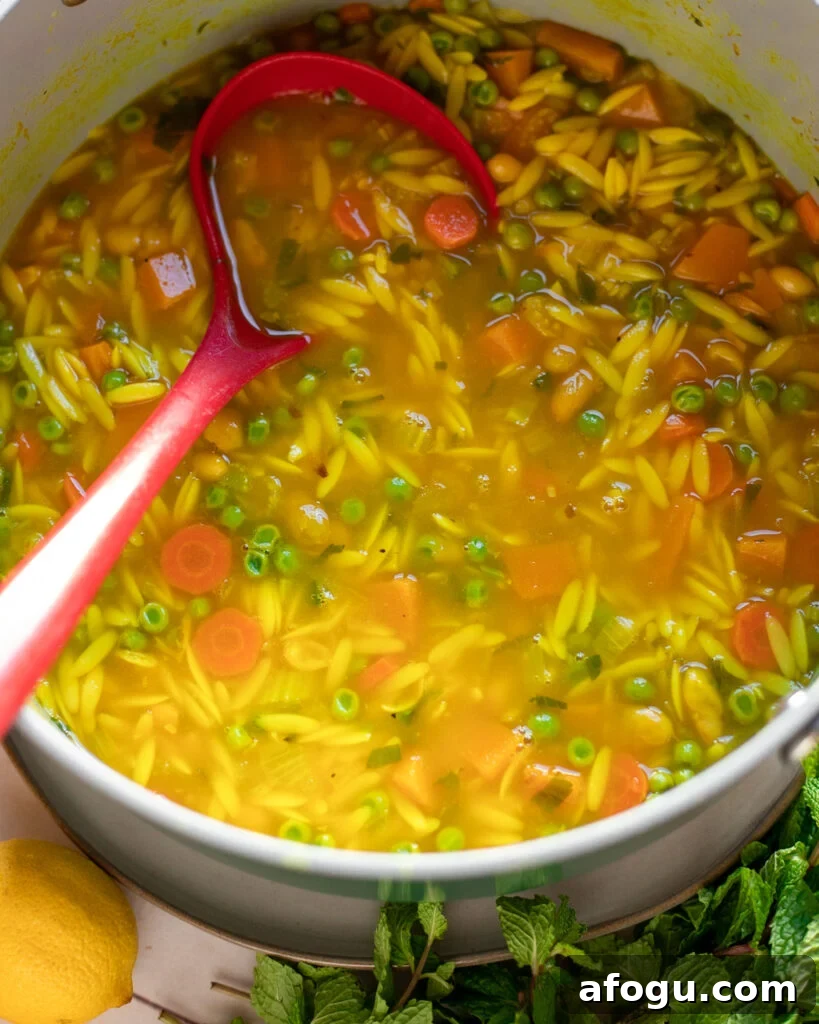 image of a dutch oven with lemon orzo soup and a red ladle scooping some out to serve.