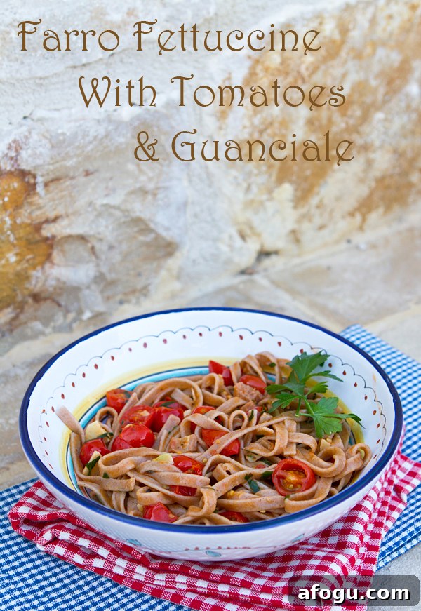 farropasta4
