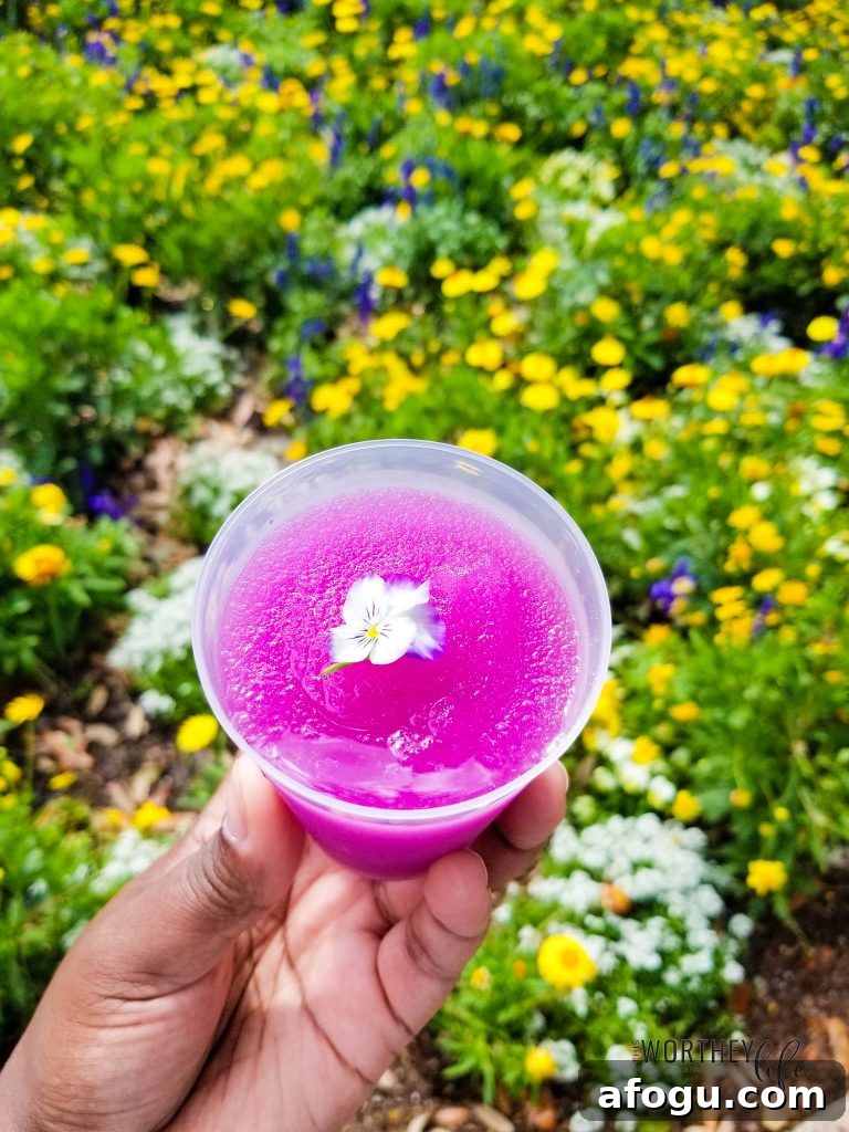 Best food to eat at Epcot's Flower and Garden Festival