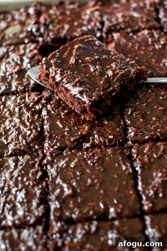 chocolate texas sheet cake with fudge frosting