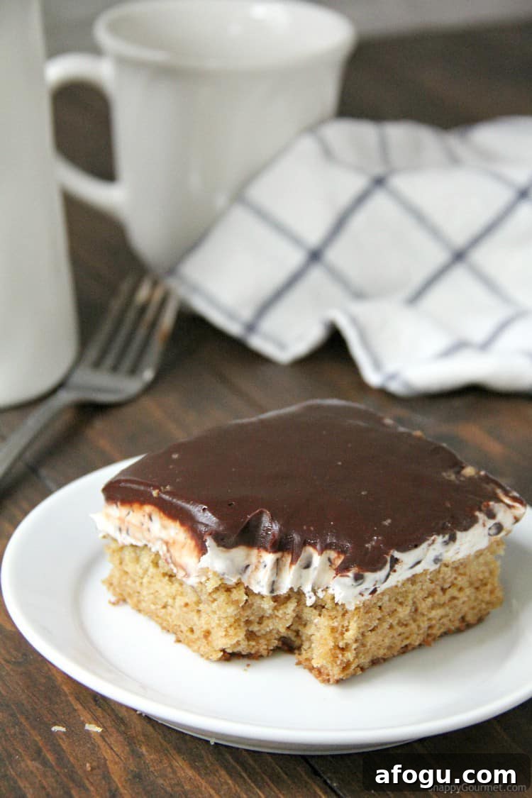 S'mores cake with bit out of it