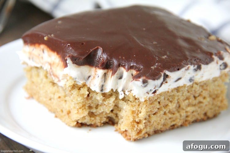 closeup of S'mores Cake piece