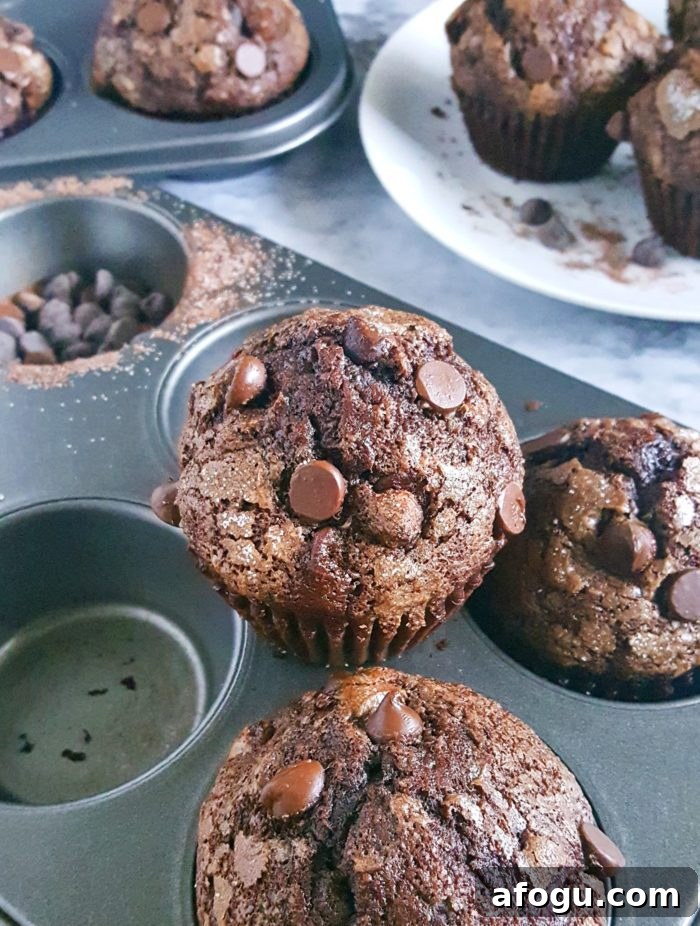 The Best Double Chocolate Banana Muffins - Turn overripe bananas into these Bakery Style Double Chocolate Chip Banana Muffins that taste like Brownies! This is a one bowl recipe that's super easy to make and so delicious.